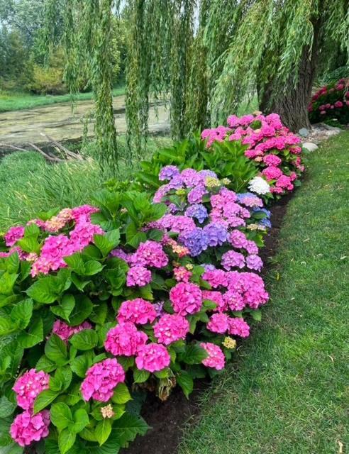 The Hazelhouse Bed and Breakfast Chilliwack Buitenkant foto